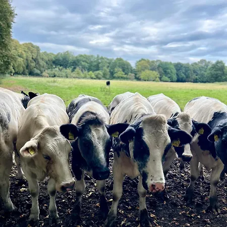 Quartier 53 - In Ostfriesland Lejlighed Westoverledingen