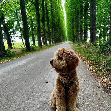 Quartier 53 - In Ostfriesland Westoverledingen
